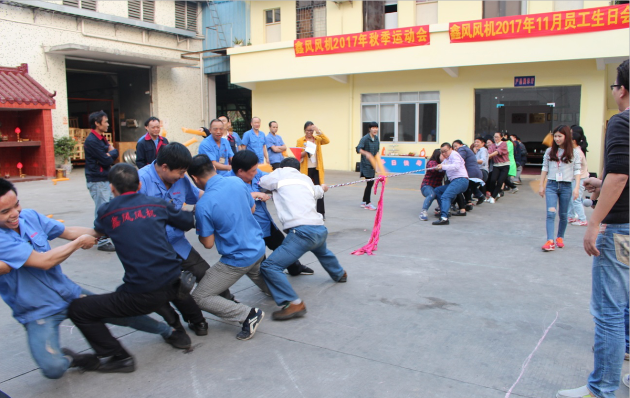 鑫風(fēng)運(yùn)動會